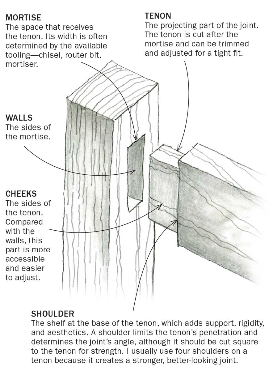 anatomy diagram