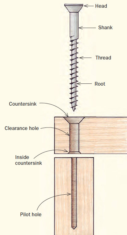 The subtleties of driving a screw - FineWoodworking