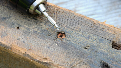 Extracting Screws from Reclaimed Wood